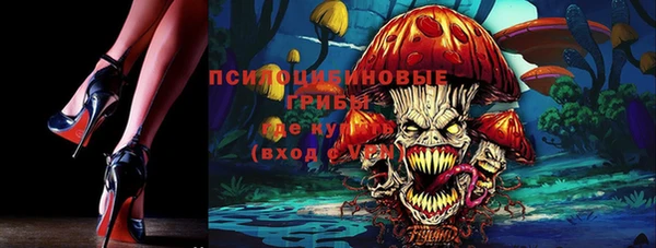 молекула духа Алексеевка