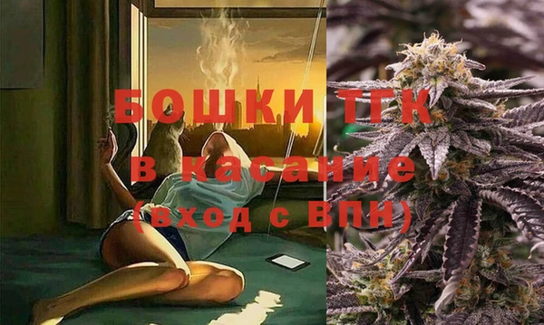 молекула духа Алексеевка