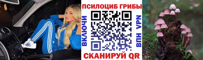 наркотики  Наволоки  Псилоцибиновые грибы Cubensis 